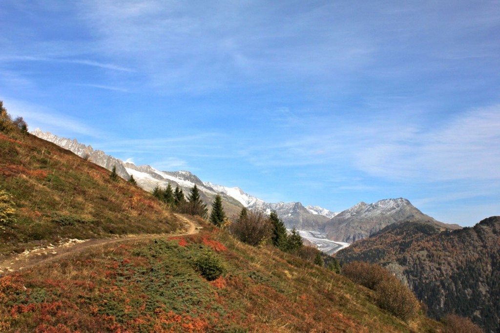 Blick auf den Aletschgletscher